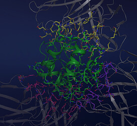 protein-design-services